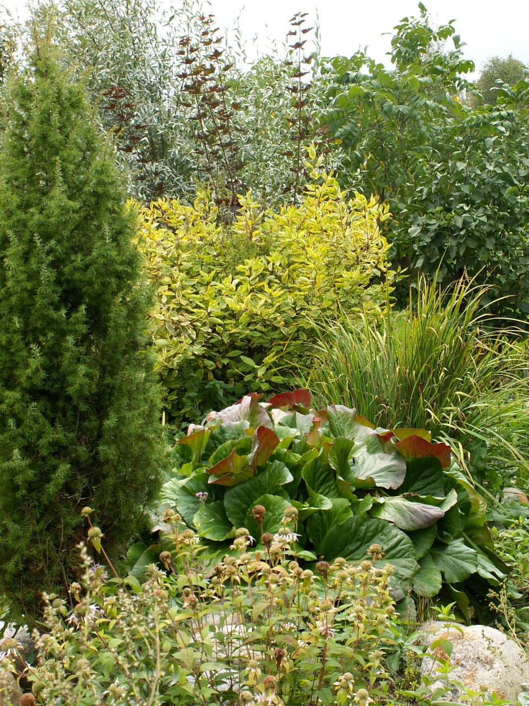 Тропинка в прошлое