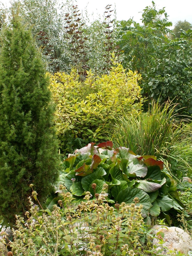 Тропинка в прошлое