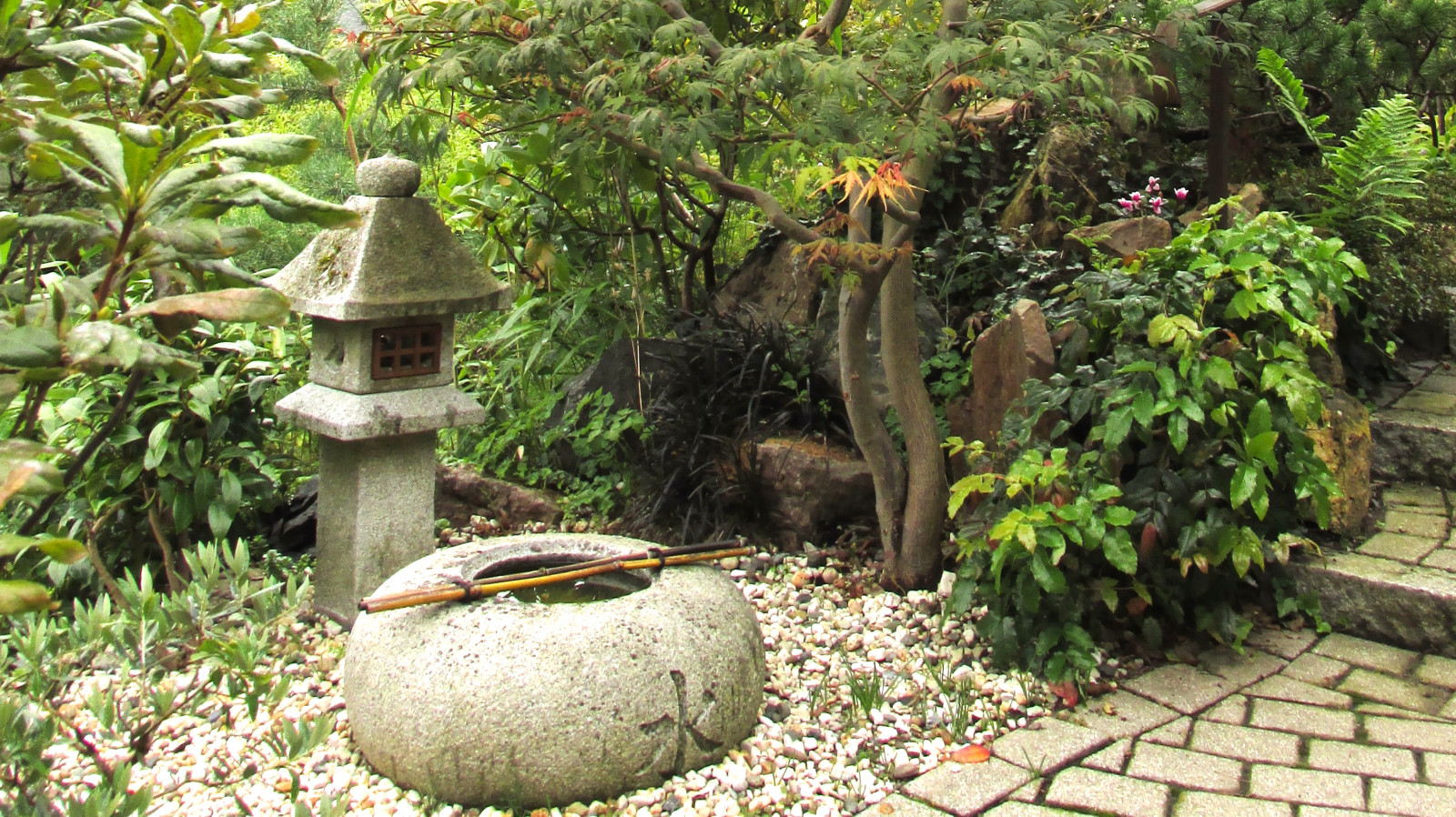 Обложка проекта: Oriental garden in Germany