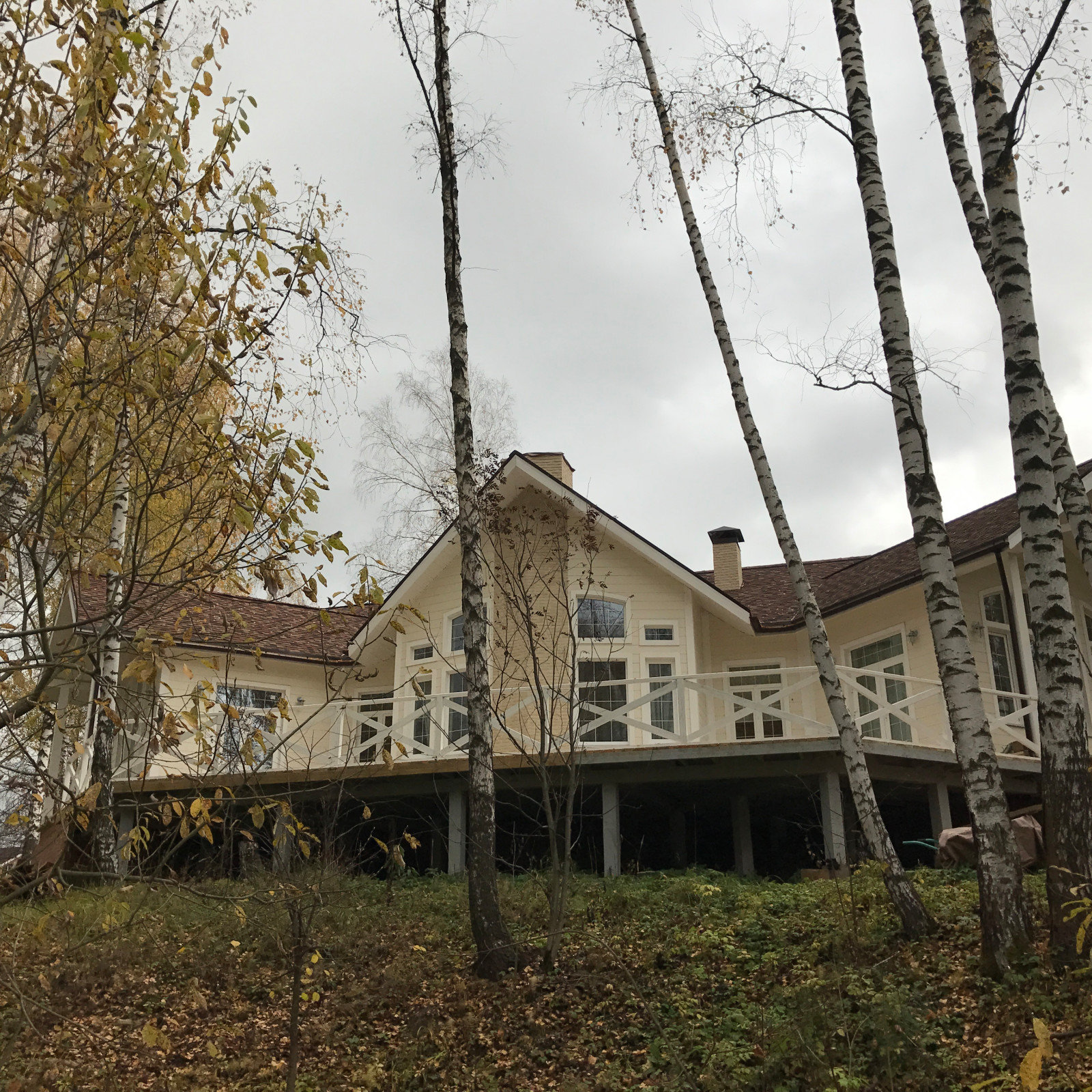 Елена Тришкина