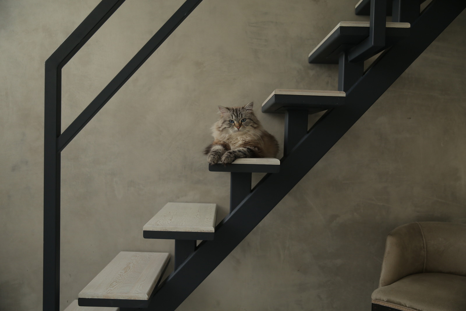 Юлия Куликова