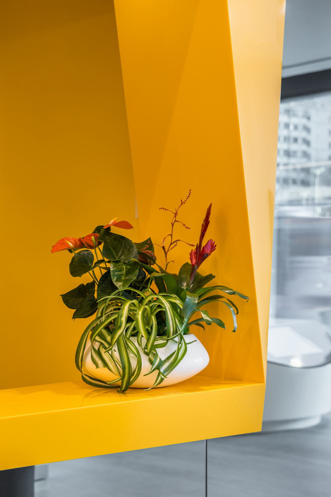 Цветочные композиции для украшения интерьеров домов, квартир и офисов.