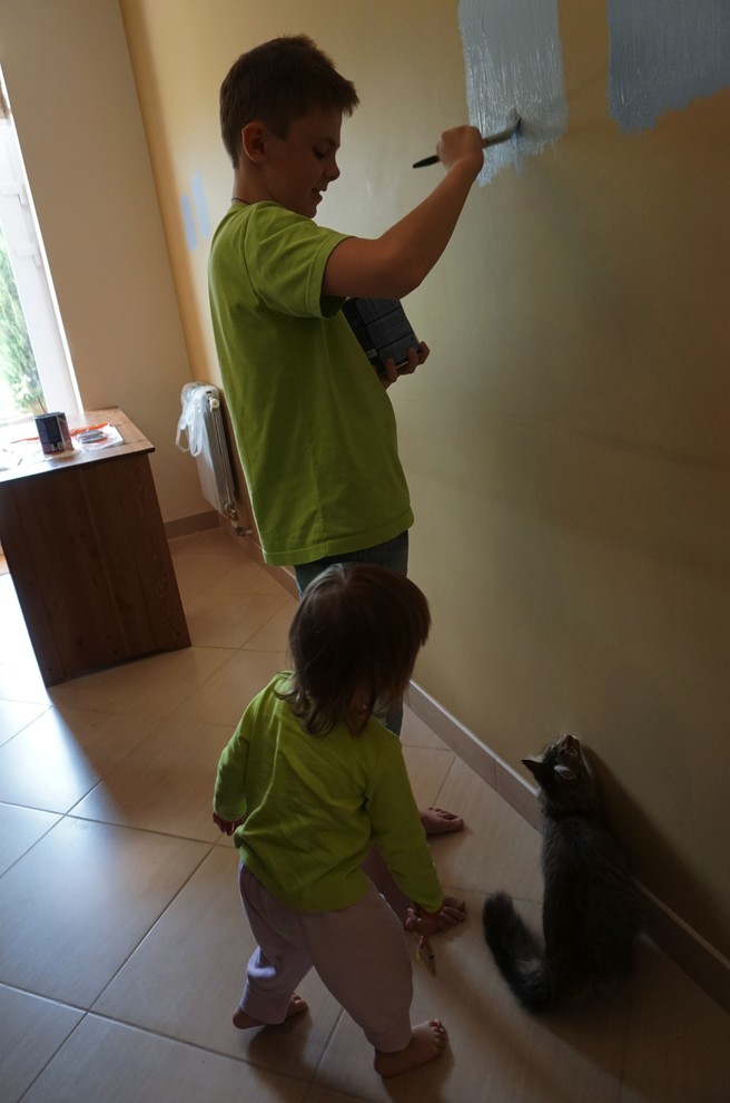 Личный опыт: Как покрасить стену, если у вас четверо детей и одна кошка