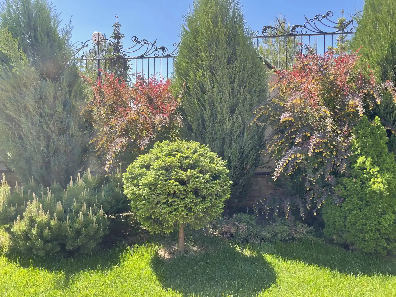 «КЛАССИКА ЖАНРА»