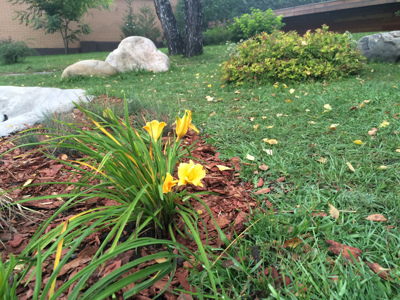 Сад с водоемом