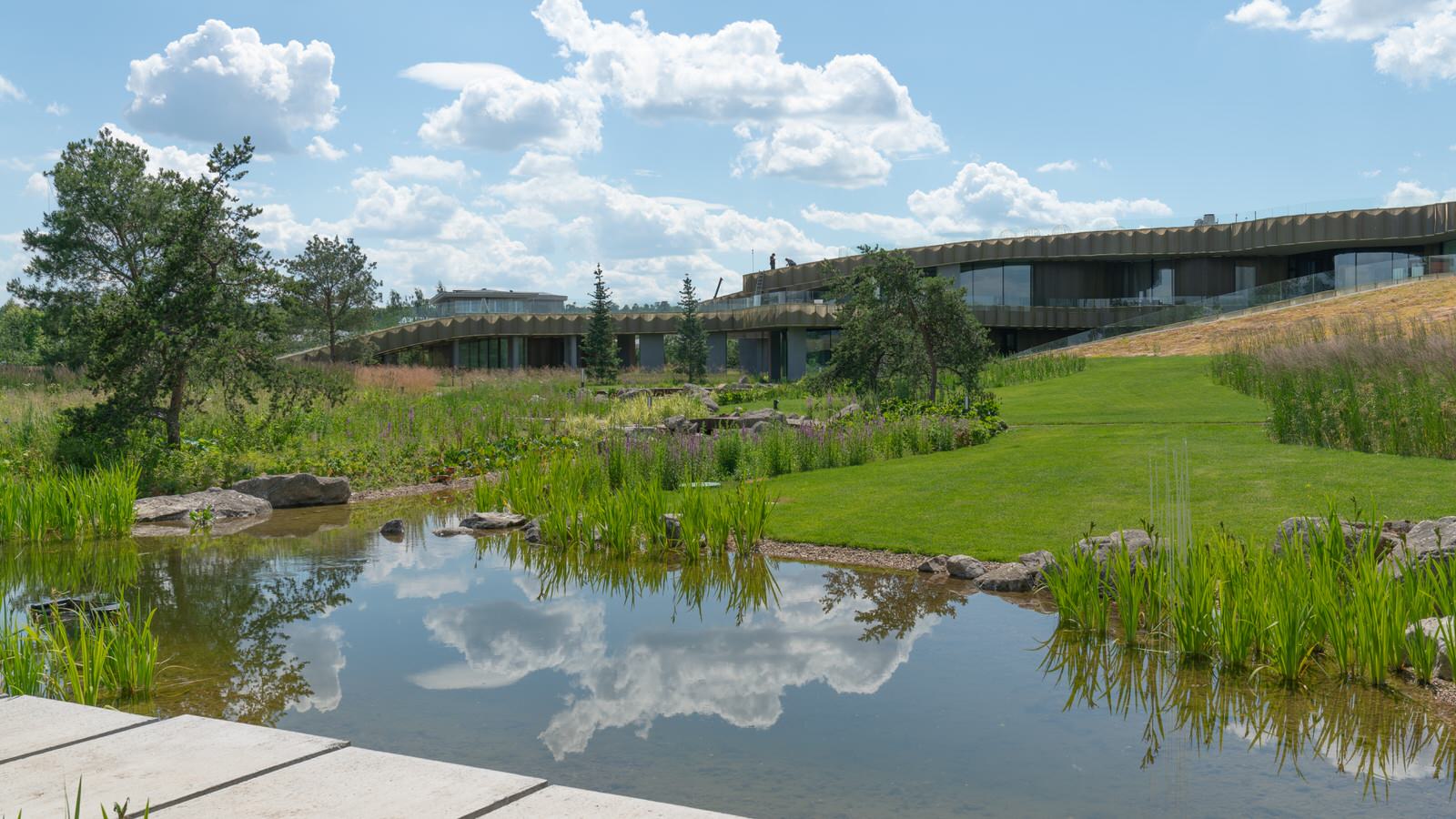 Природный сад. Жуковка XXI век. 2017-2018 гг.