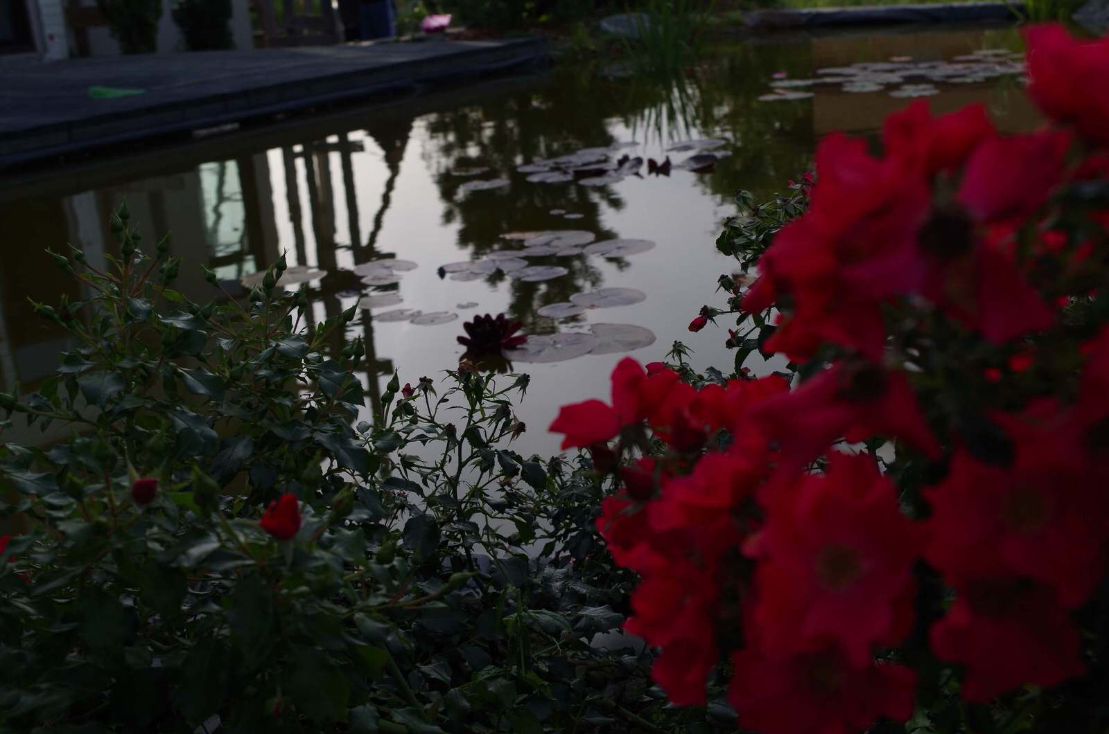 СНЫ О ЧЕМ_ТО БОЛЬШЕМ...