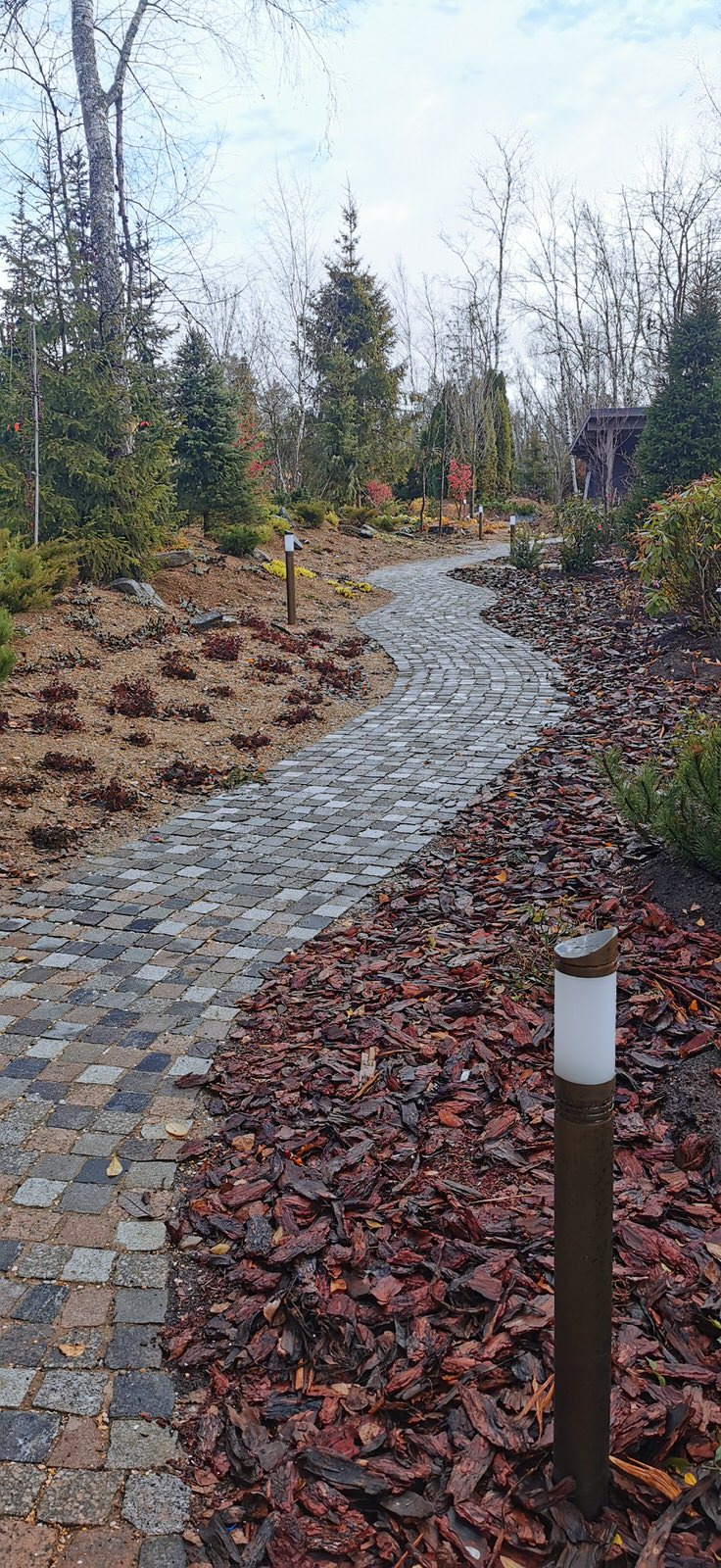 Обложка проекта: Лесной участок в подмосковье