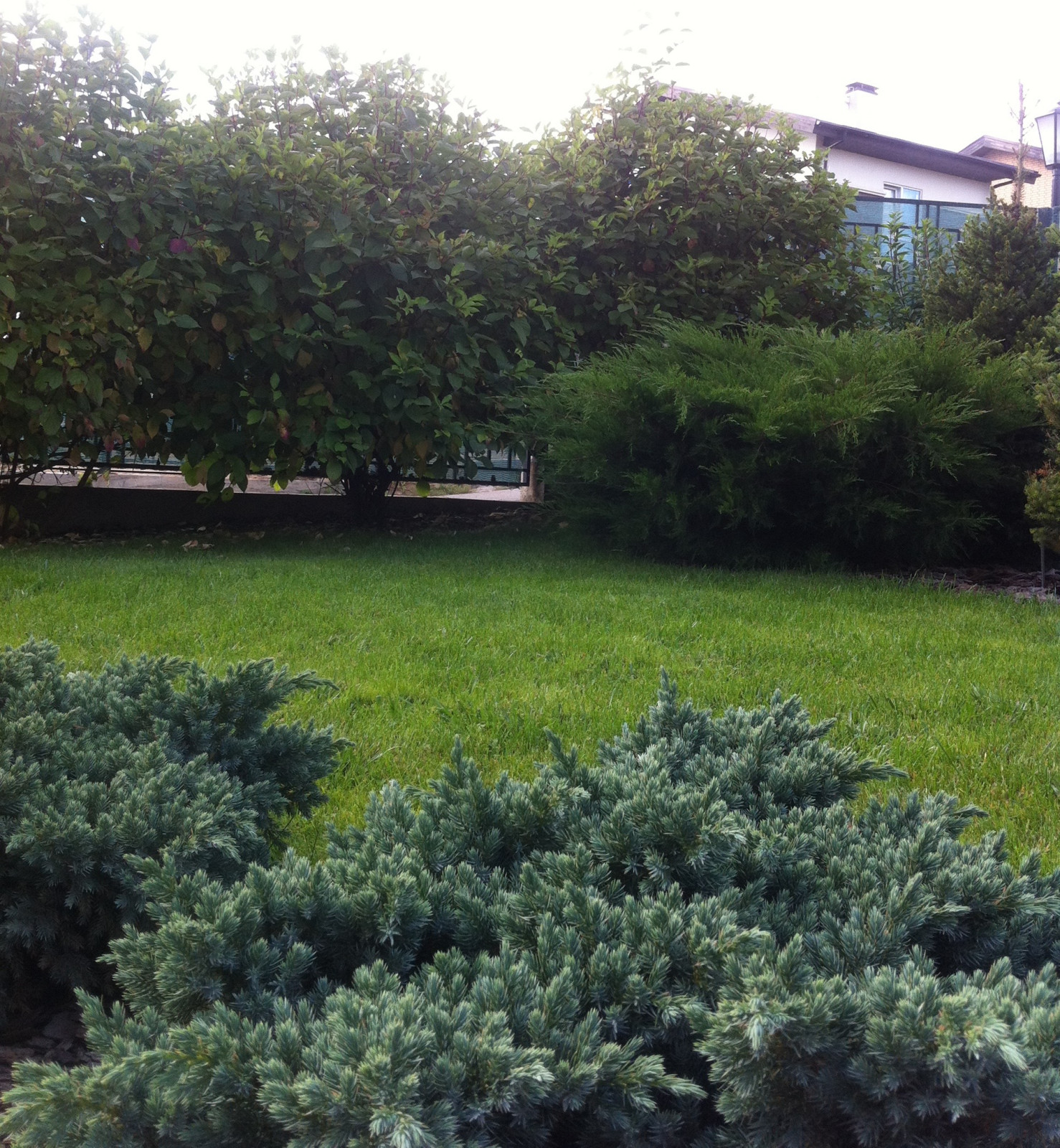 "Сад эгоист"