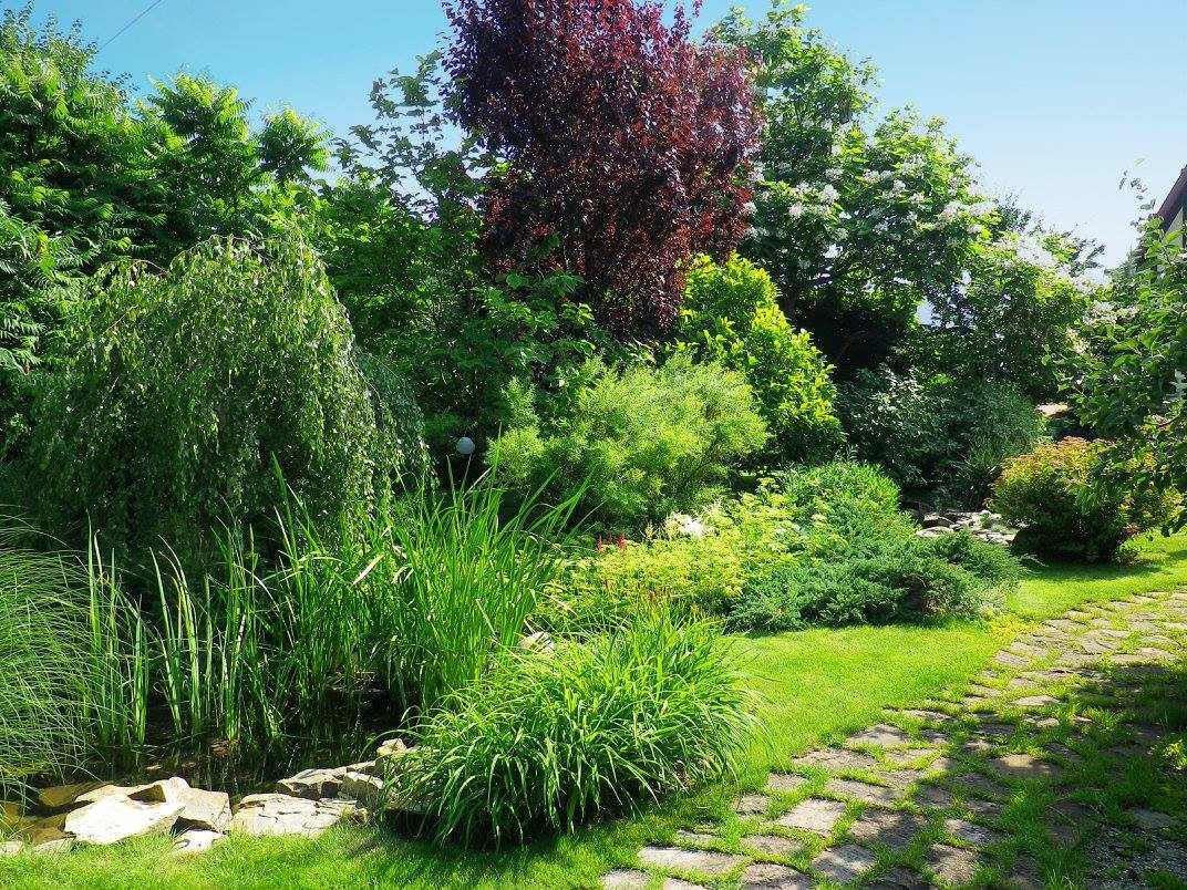 Игра на контрасте в ландшафтном проекте сада