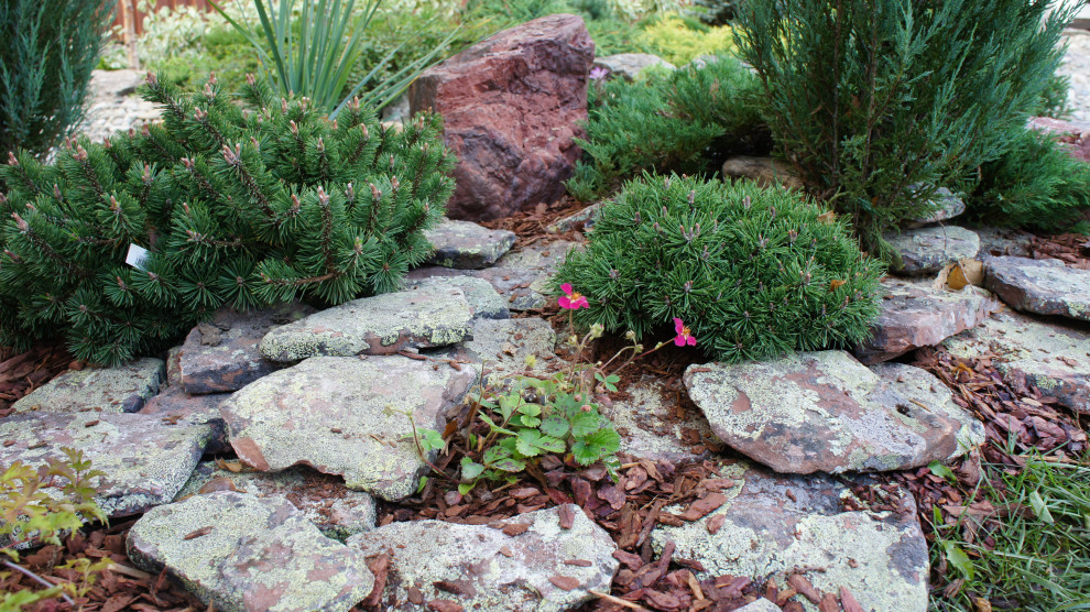 участок в Прохорово