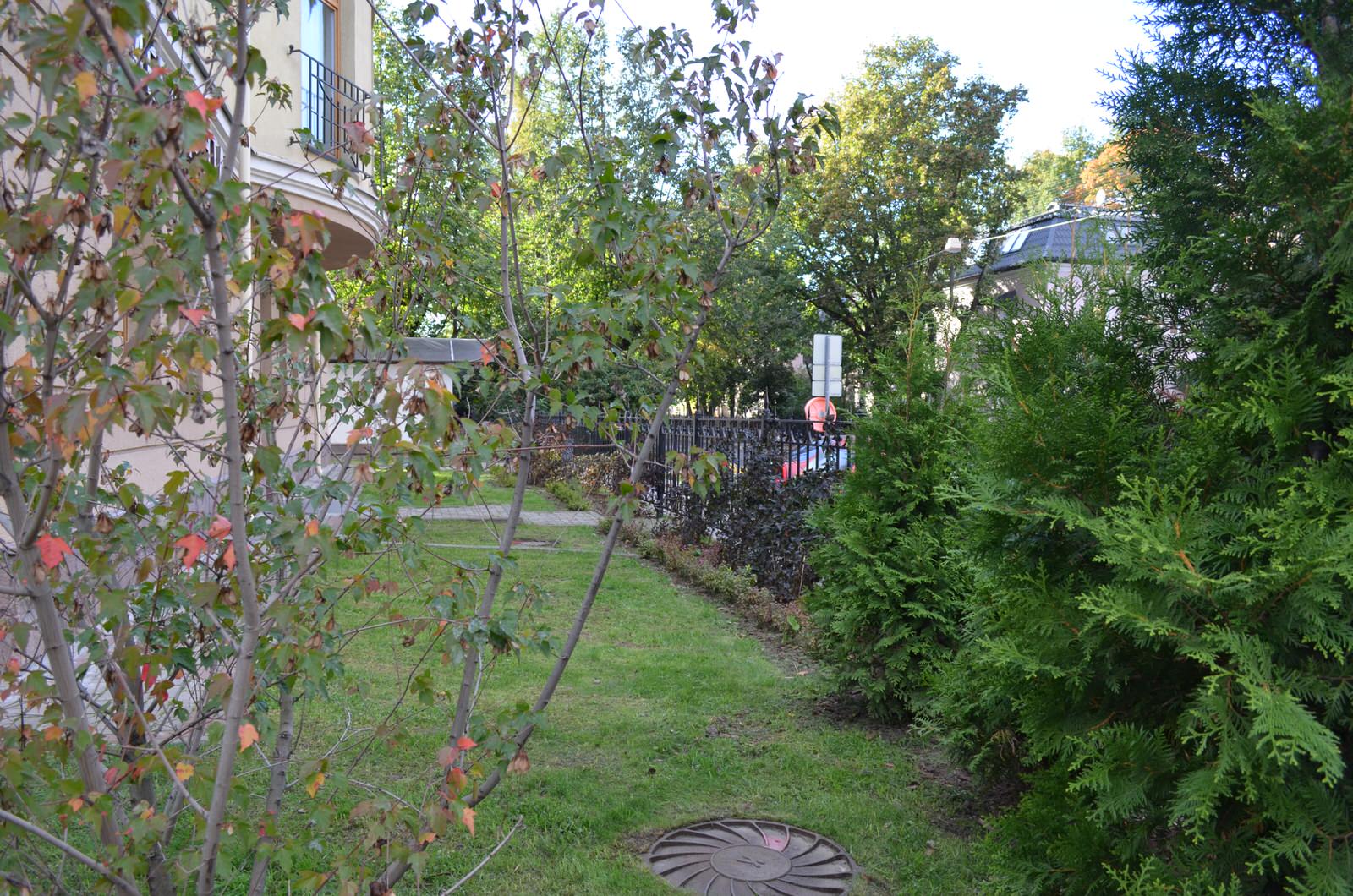 Озеленение бизнес-центра