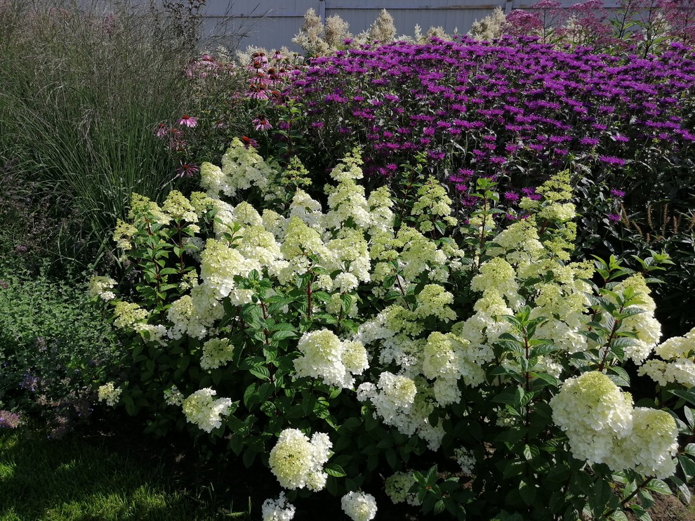 Подмосковный Прованс