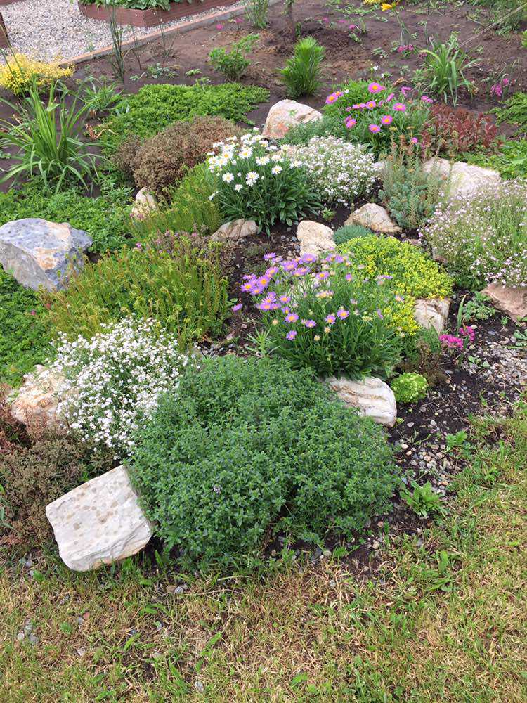 Наши работы