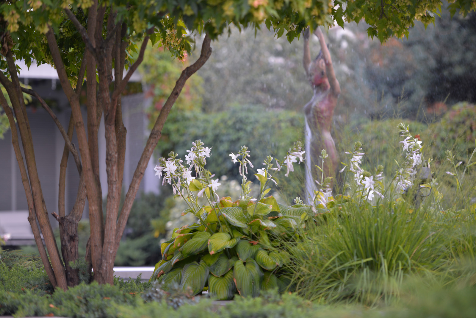 Александра Лаврухина