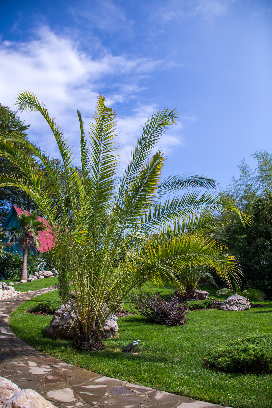 Ландшафтный Дизайн Олимпийский Сочи