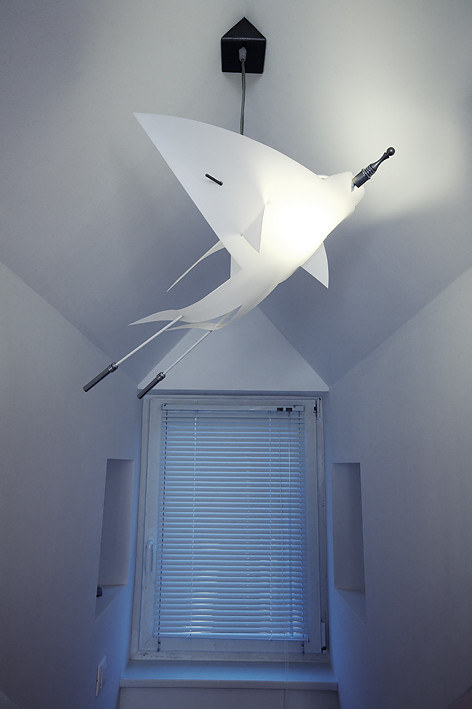 "Чердак для Чемпионов" для программы "Дачный ответ" на НТВ