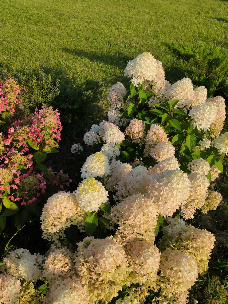 "Мурановские кружева"