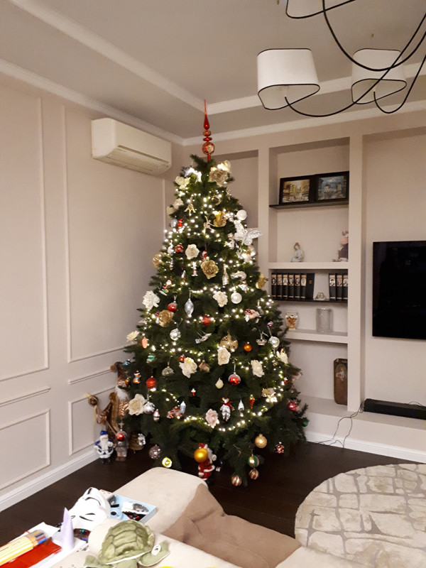 Контенпорари