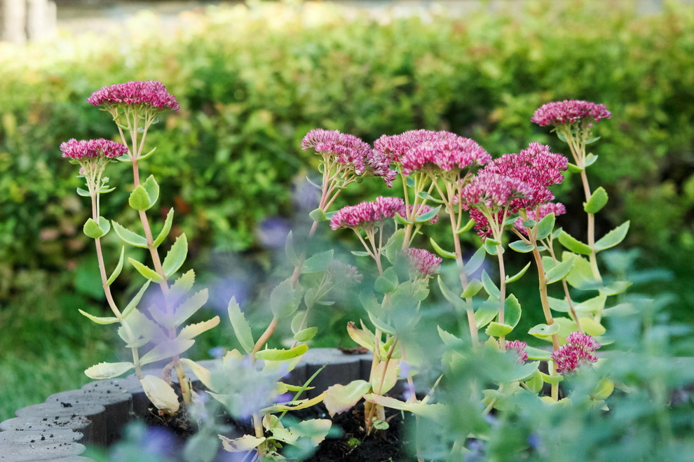 Внутренний дворик таунхауса