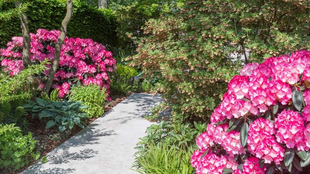 Уроки Chelsea Flower Show: Сад хорошего самочувствия