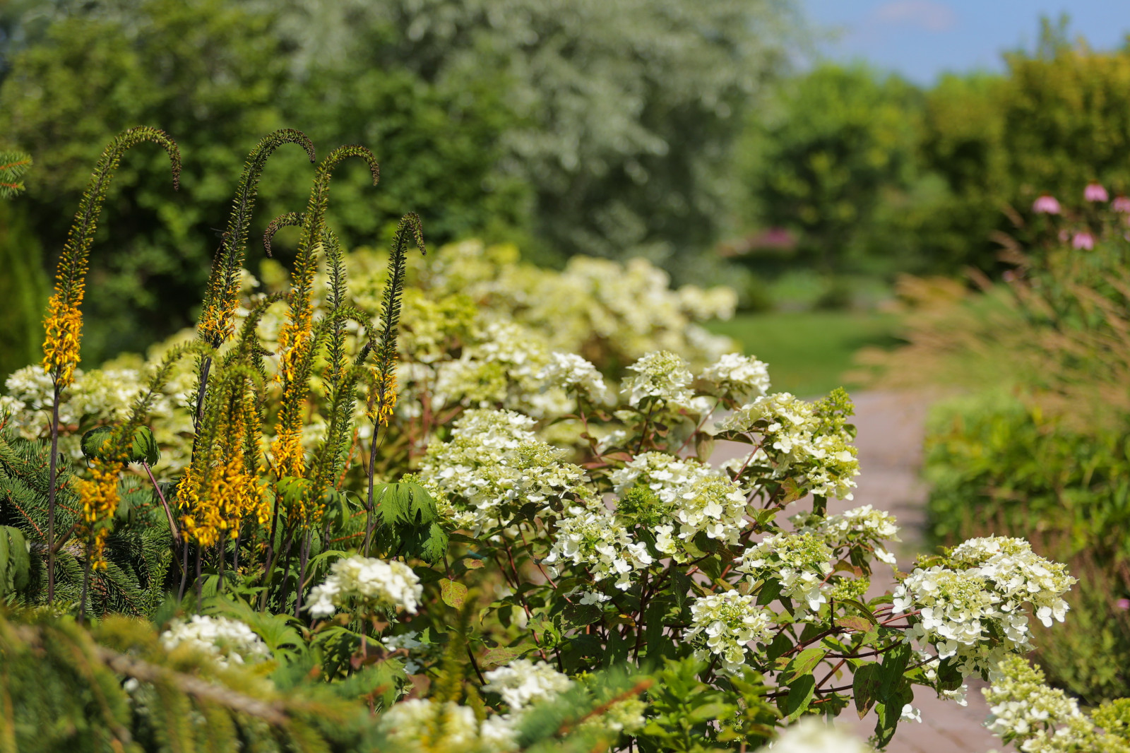 В гостях: Переделка природного сада у каскада прудов