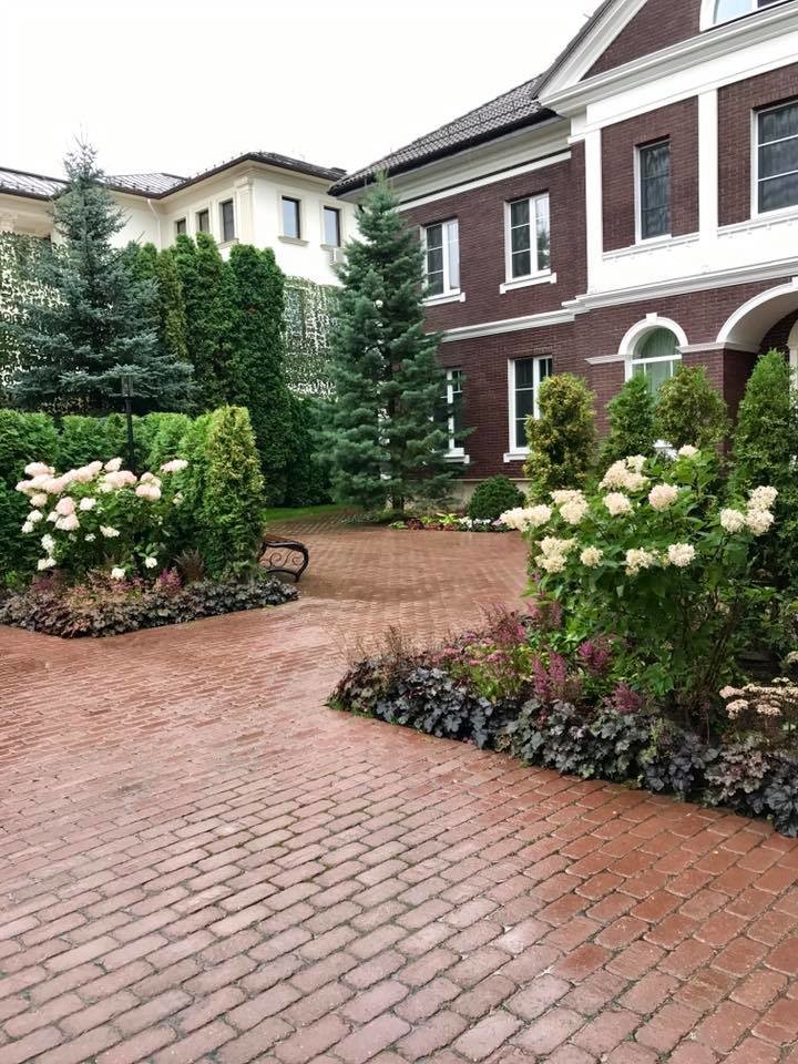 лесная рапсодия