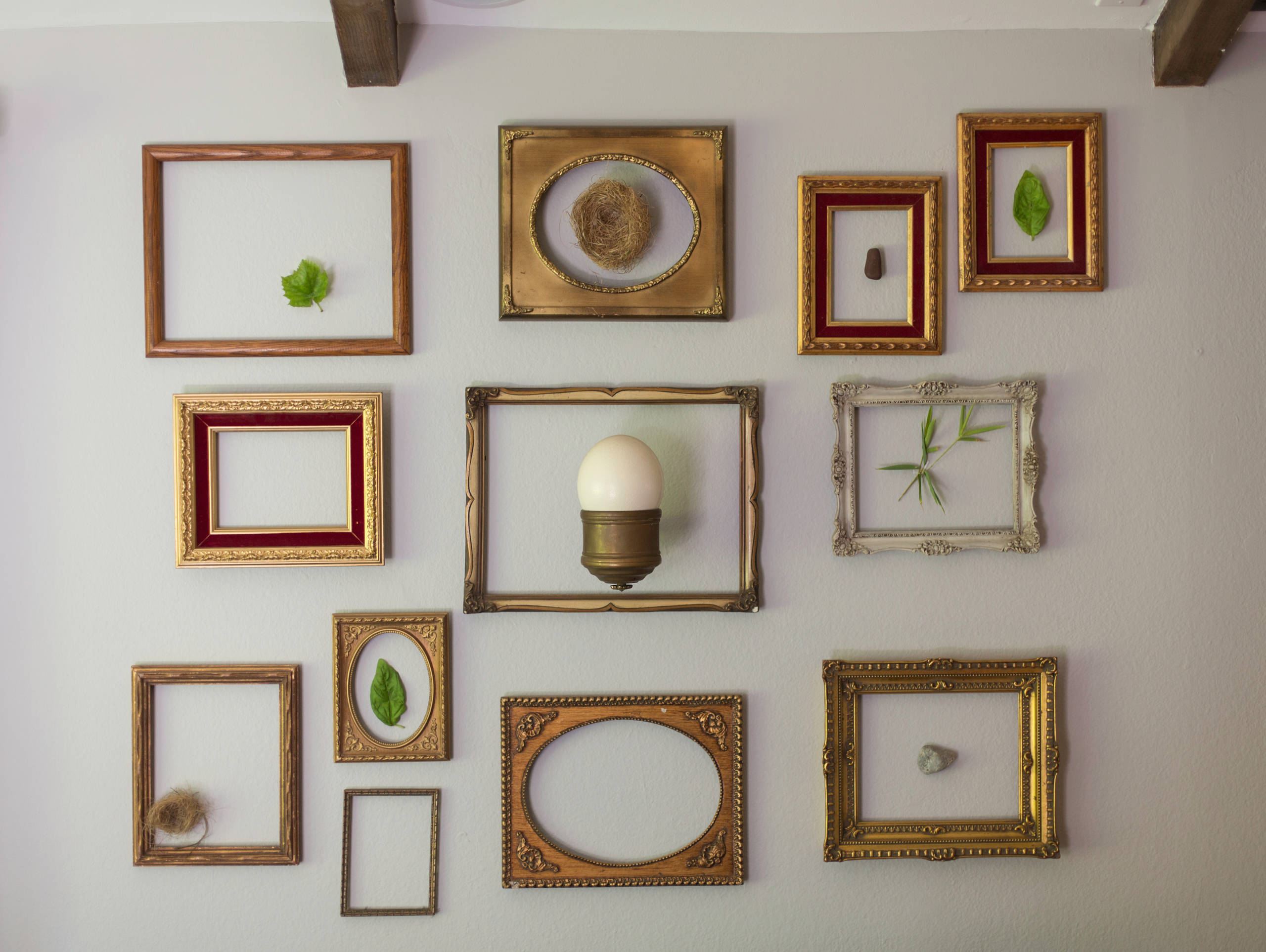 Зима в провинции: Чему учиться на фермах под Москвой