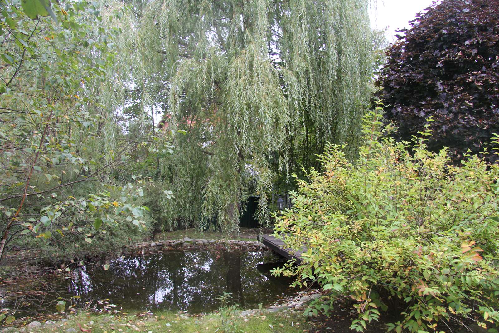 Проект в Новоспасское