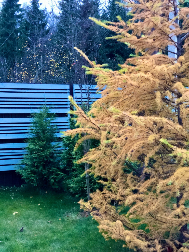 Сад "Хюгге" Пушкинский район МО