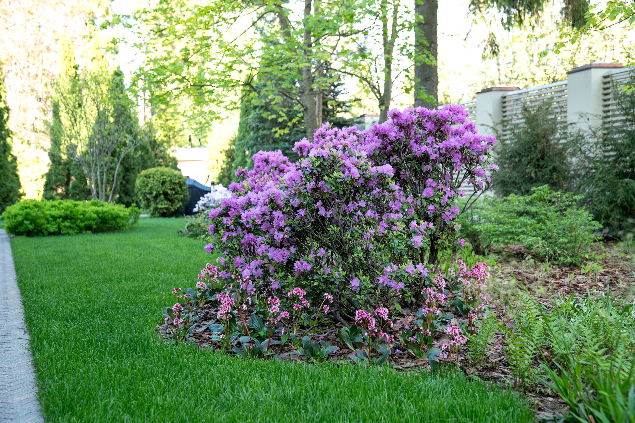 Очарование английского сада КП Балтия 2018 г