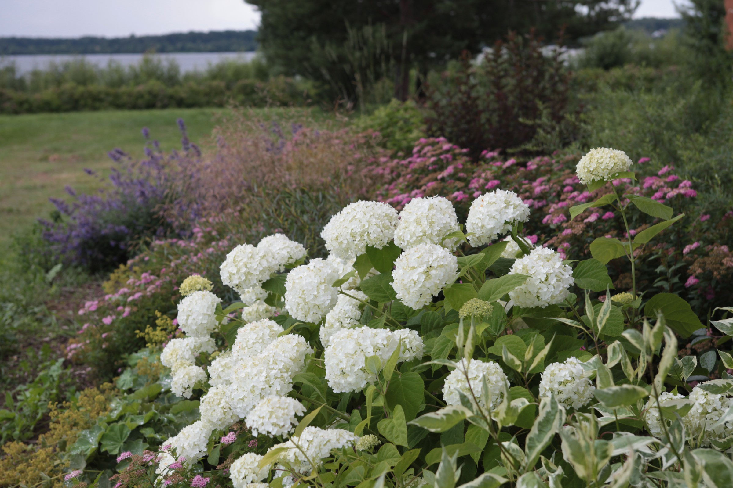 Фоновое изображение профиля Natalya Bliznyuk