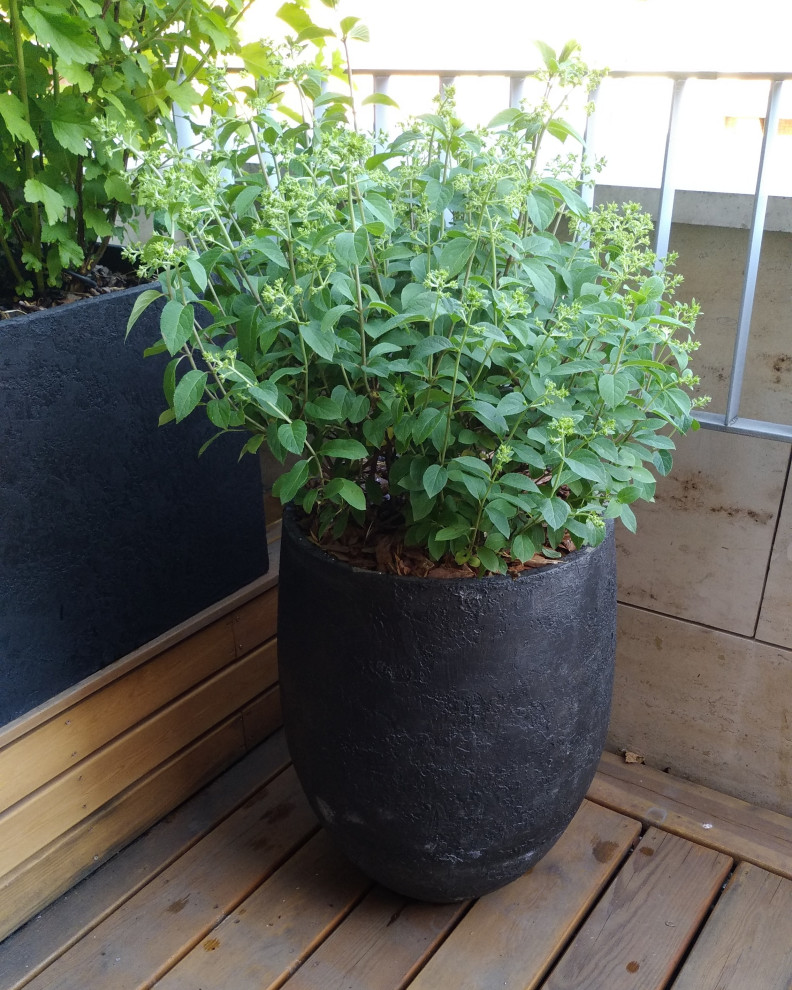 ЖК "Литератор"