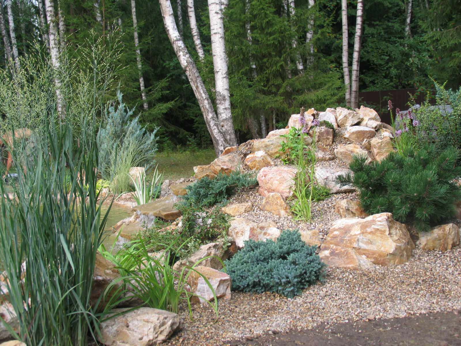 Обложка проекта: Пруд в Акиньшино