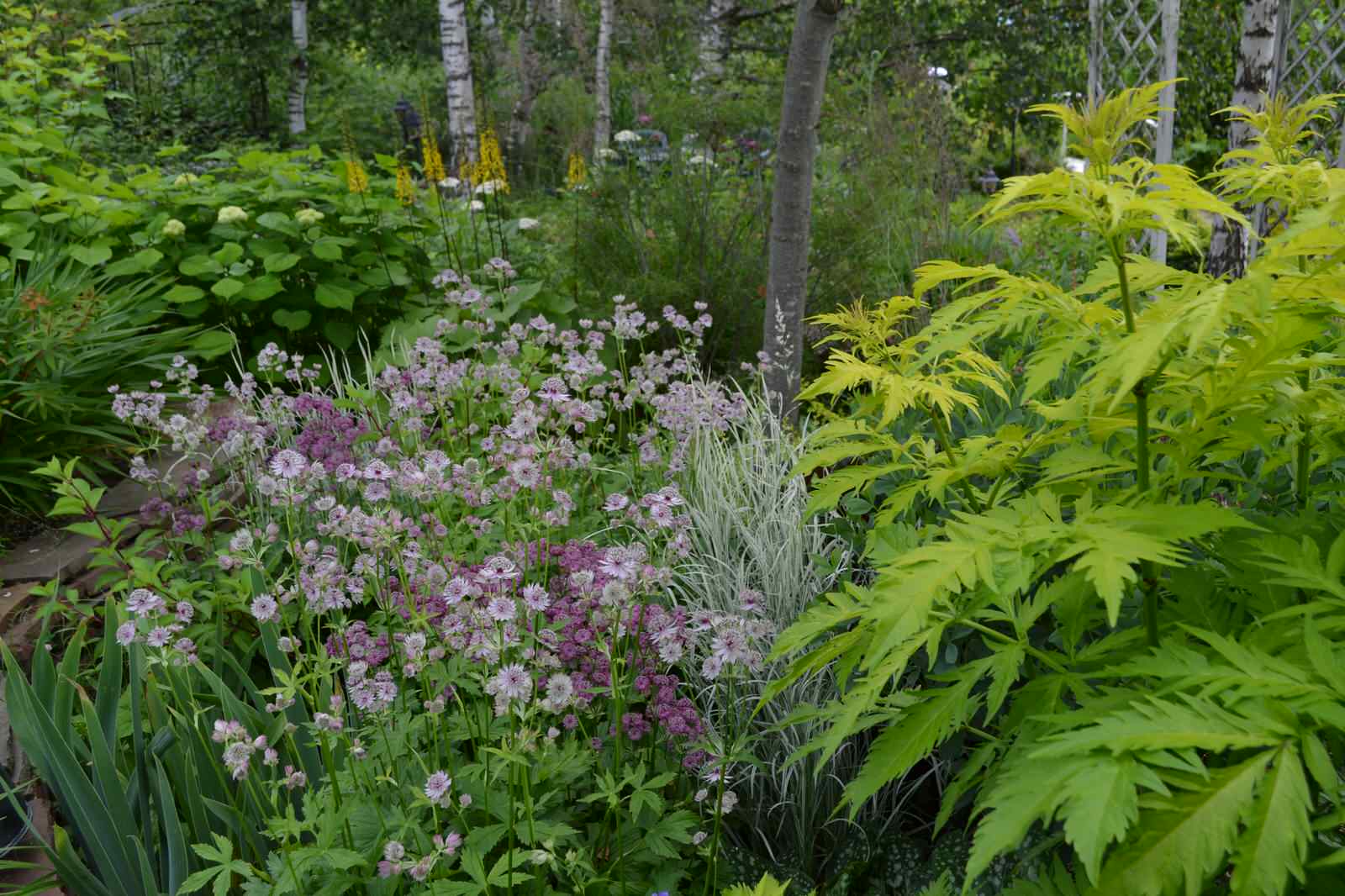 Сад  «Моя цветущая планета».