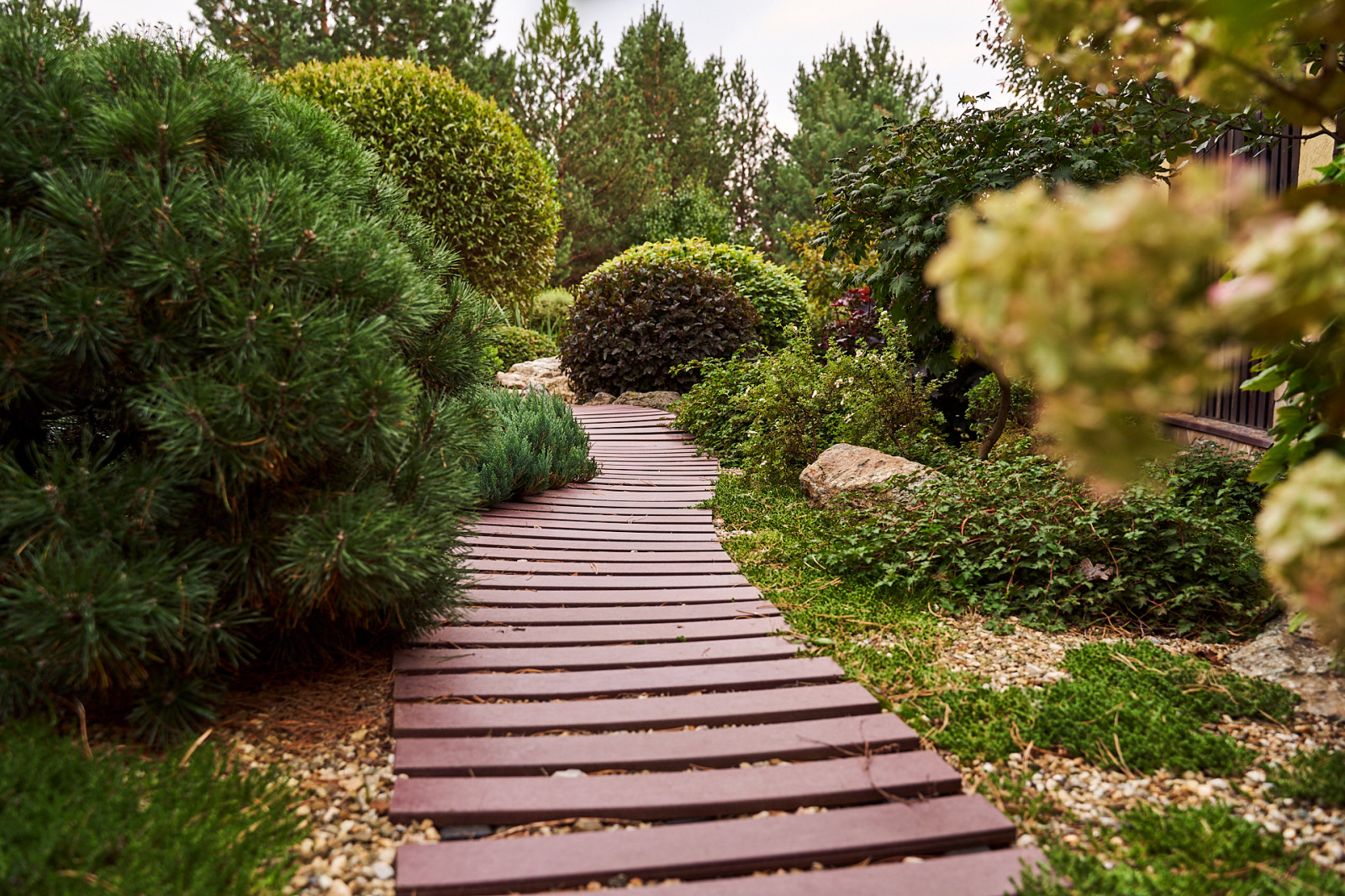 Японский садик "Живи,созерцая..."