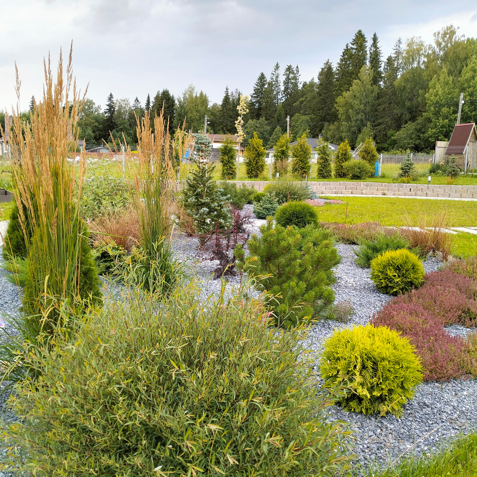 Фоновое изображение профиля Root LD