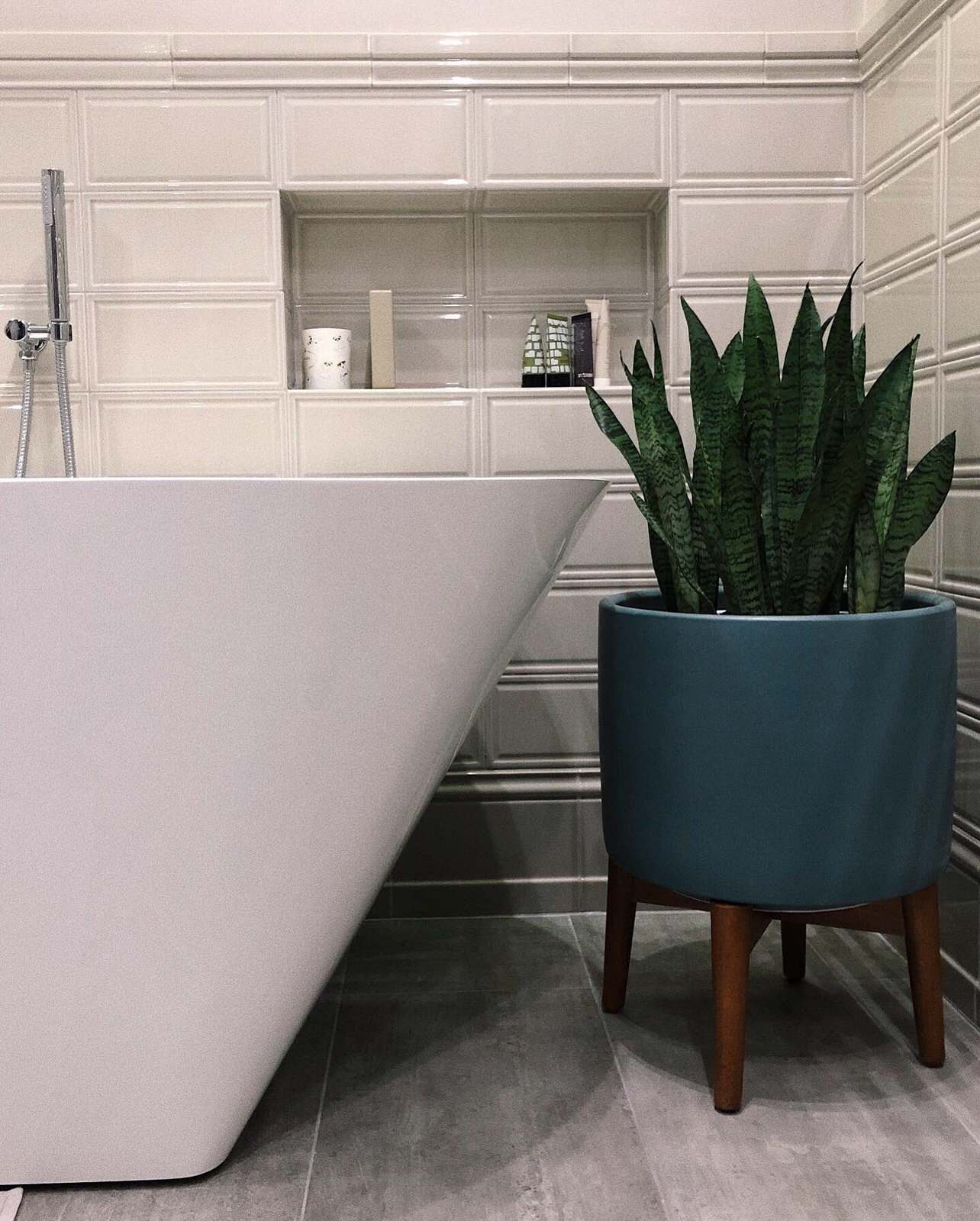 Озеленение квартиры