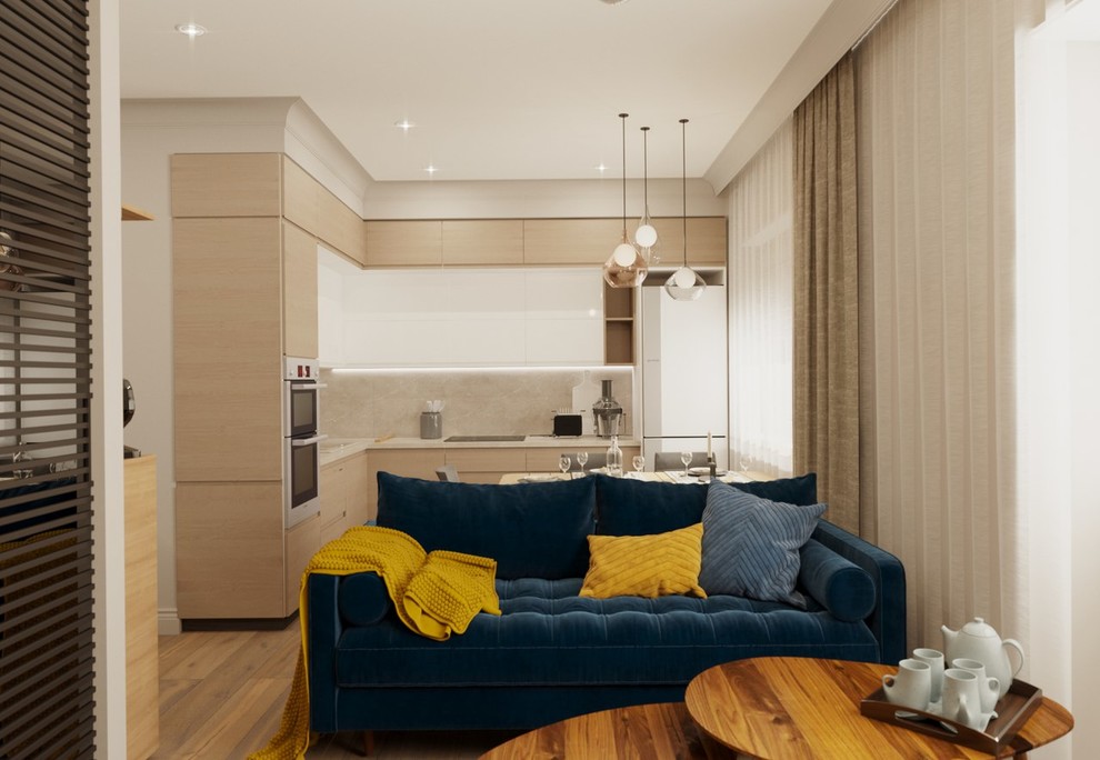 Проект квартиры 44 кв.м в Иркутске для молодой девушки студента