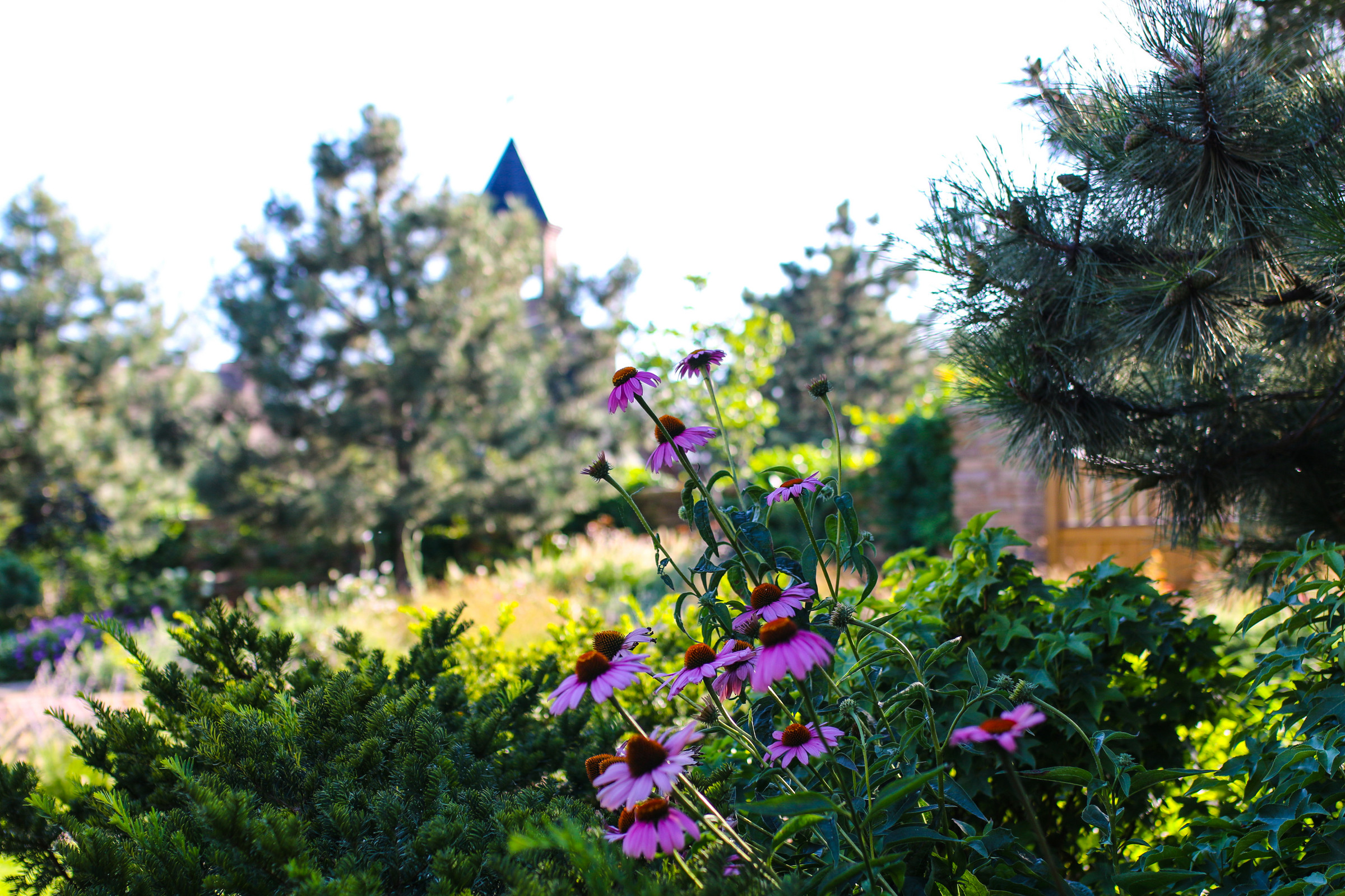 Загородный клуб