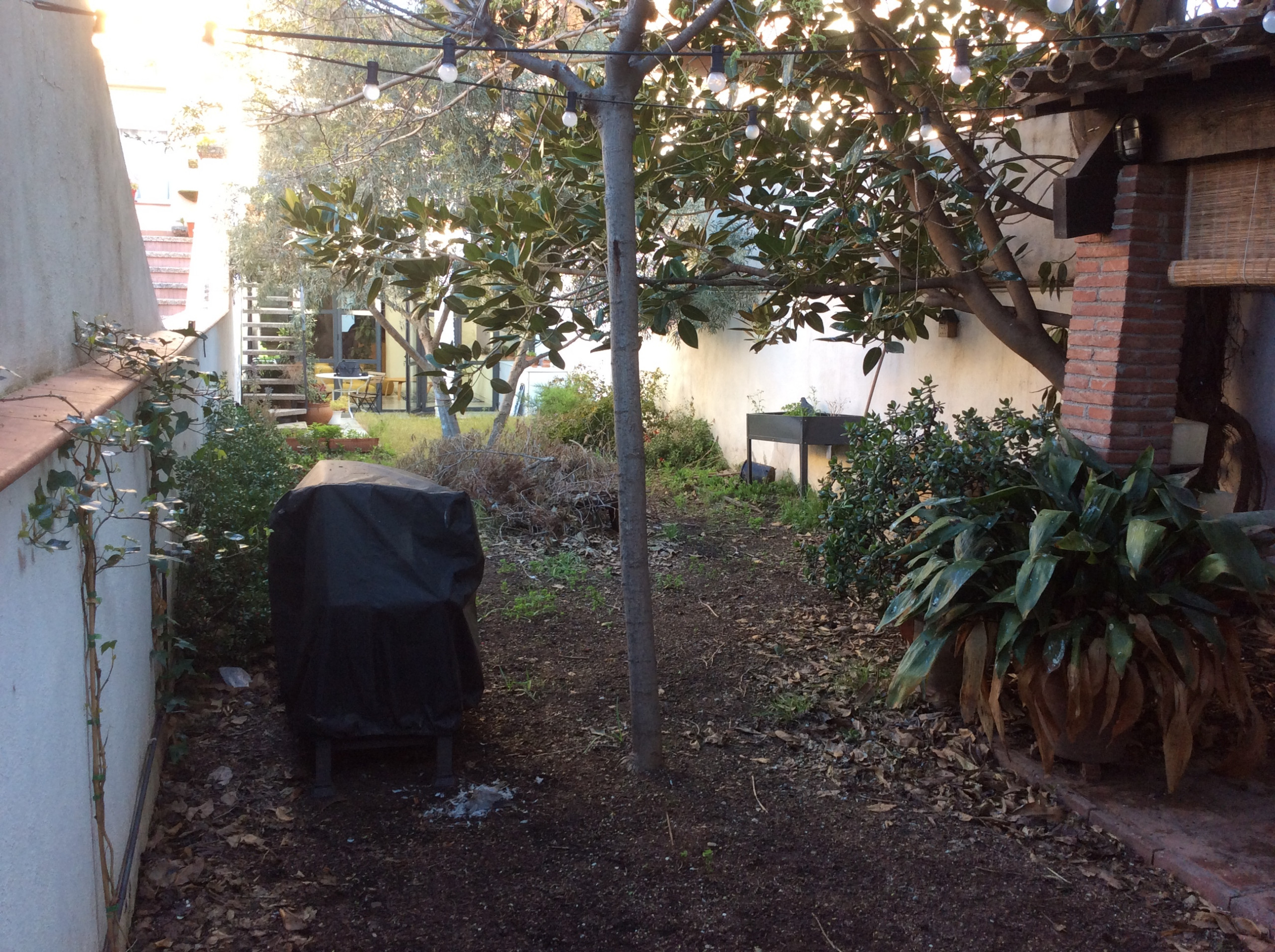 Houzz в саду: Тотальная реконструкция узкого сада