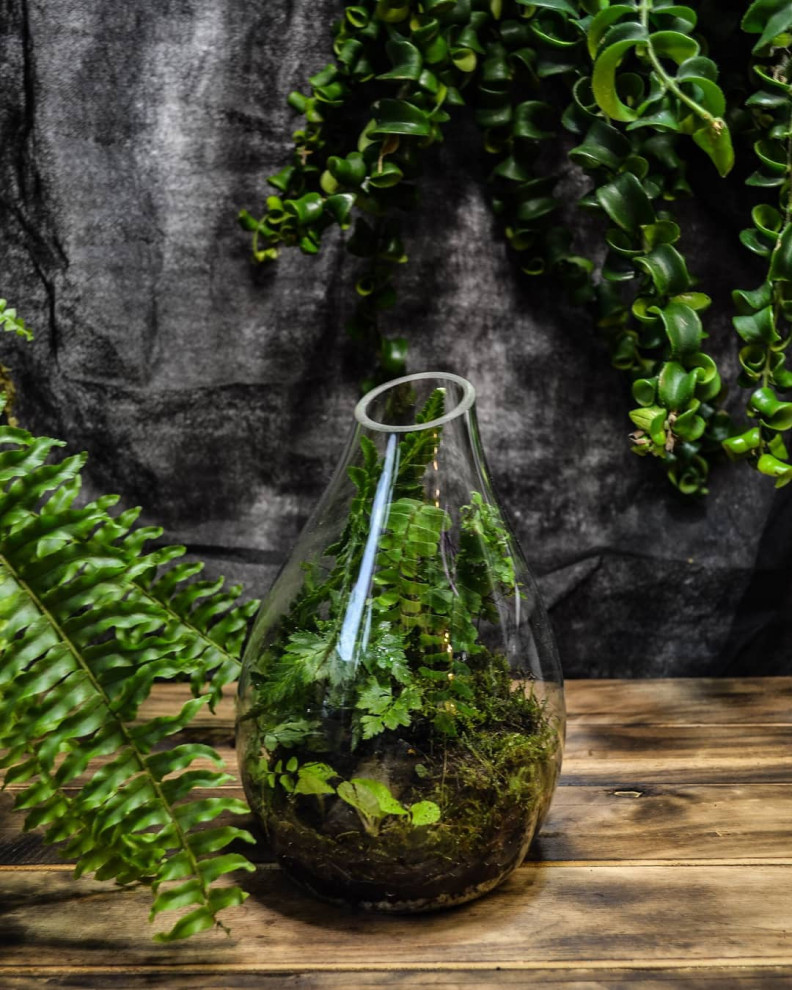 Обложка проекта: Флорариумы