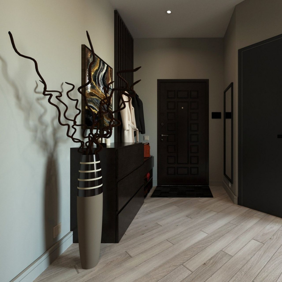 Обложка проекта: Прихожая "Дух свободы"