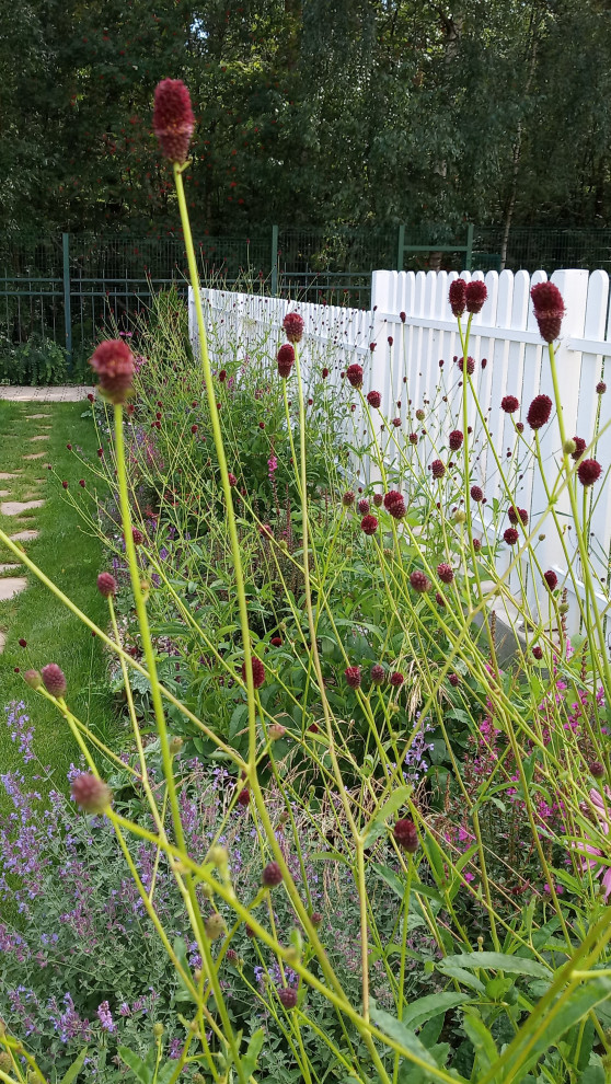 Английский садик