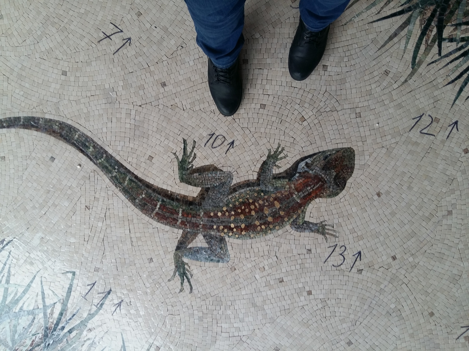Unnamed Photo