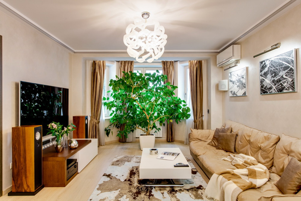 Обложка проекта: Квартира в Кропоткинском переулке