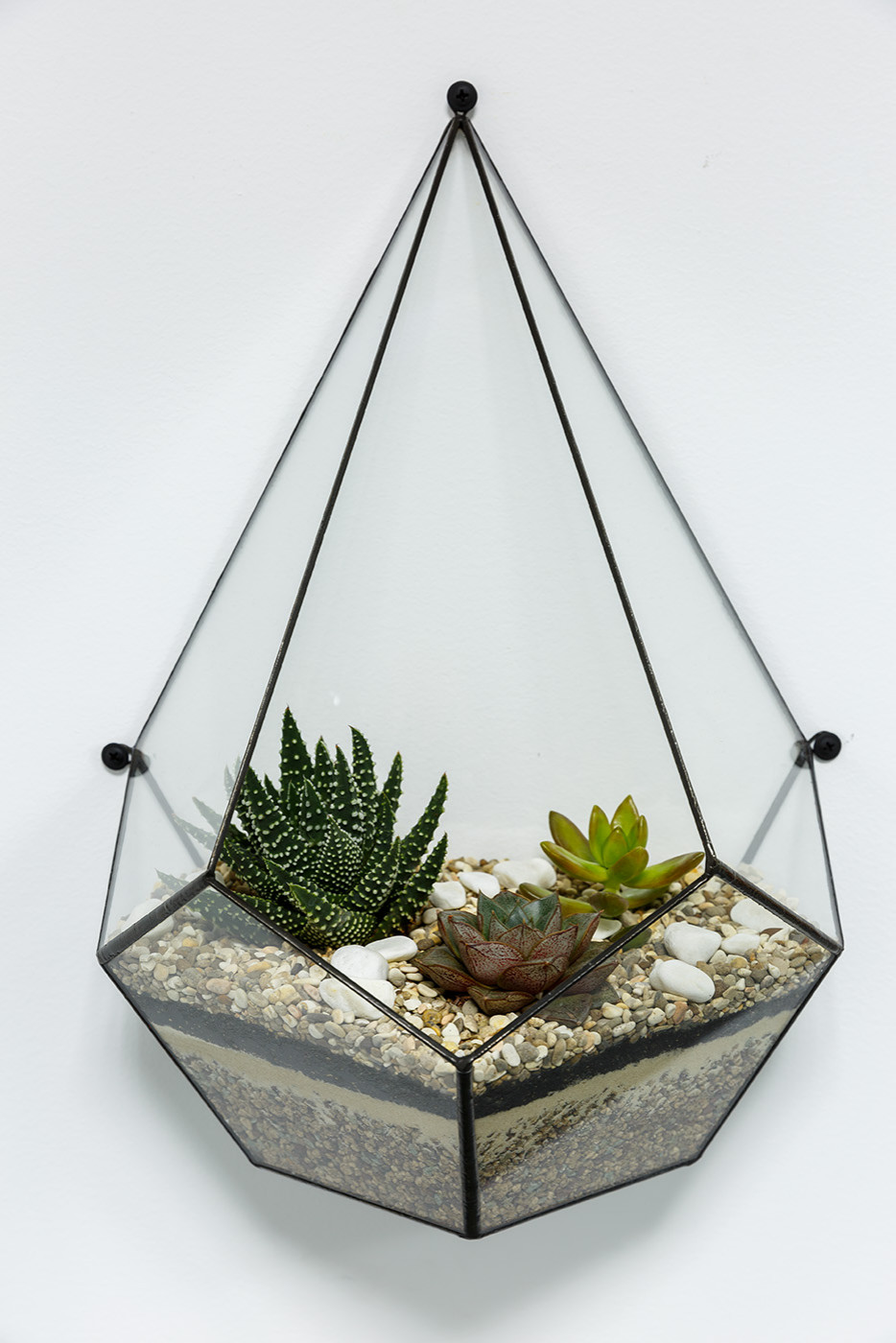 Озеленение офиса инженерной компании