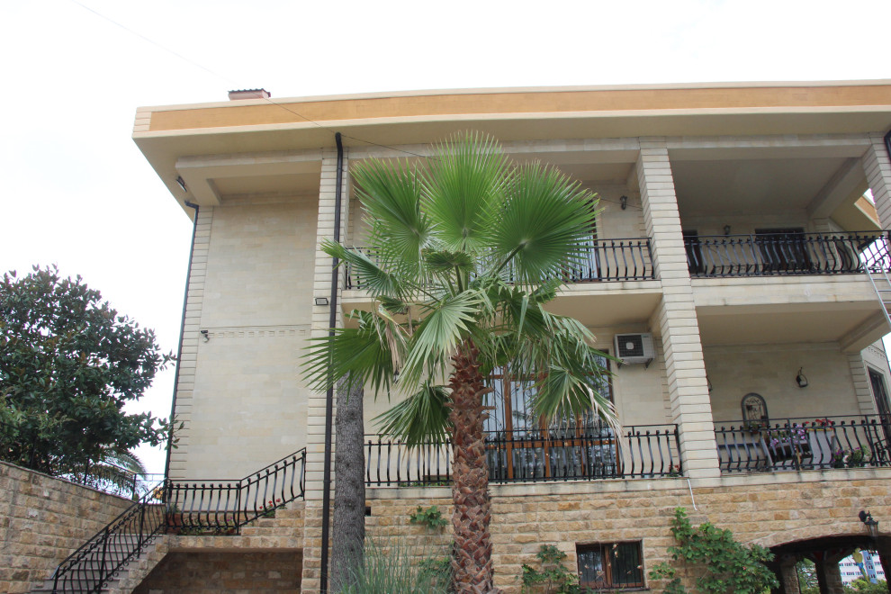 Фабрициуса