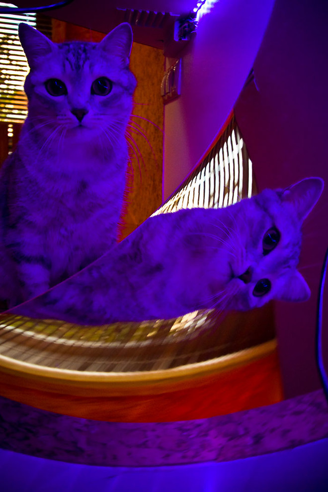 "лишняя" комната