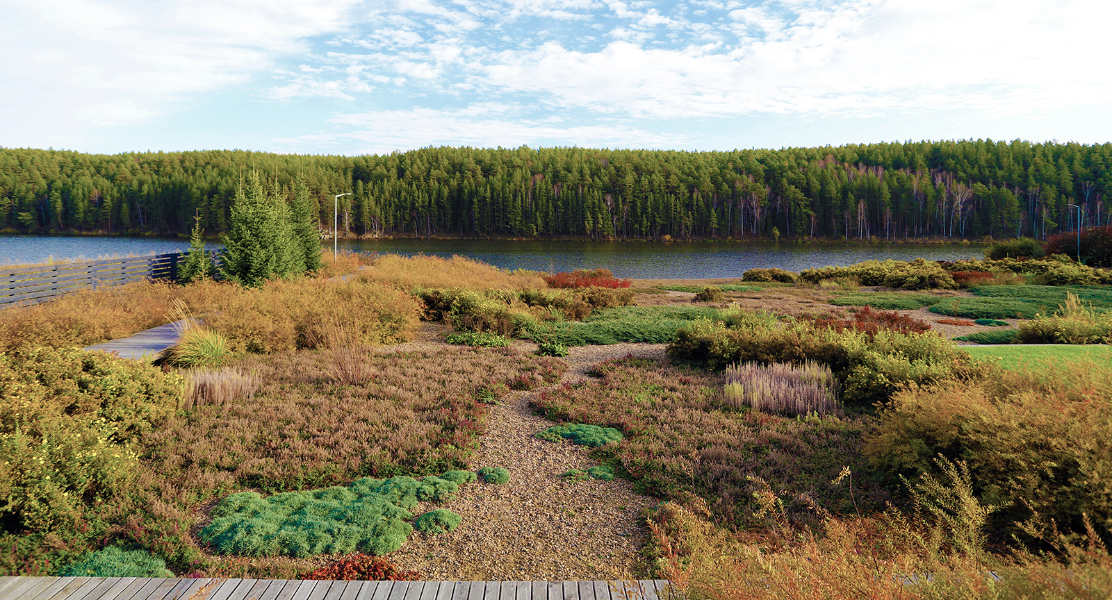 Полынный берег. Новые снимки